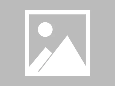 破解亚马逊广告依赖症：产品上架半年，70%订单来自广告的突围策略